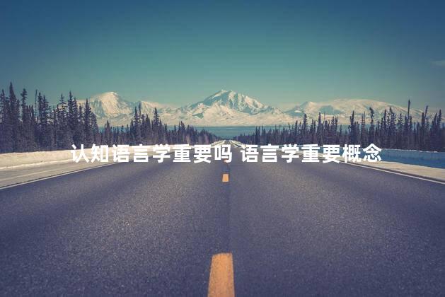 认知语言学重要吗 语言学重要概念